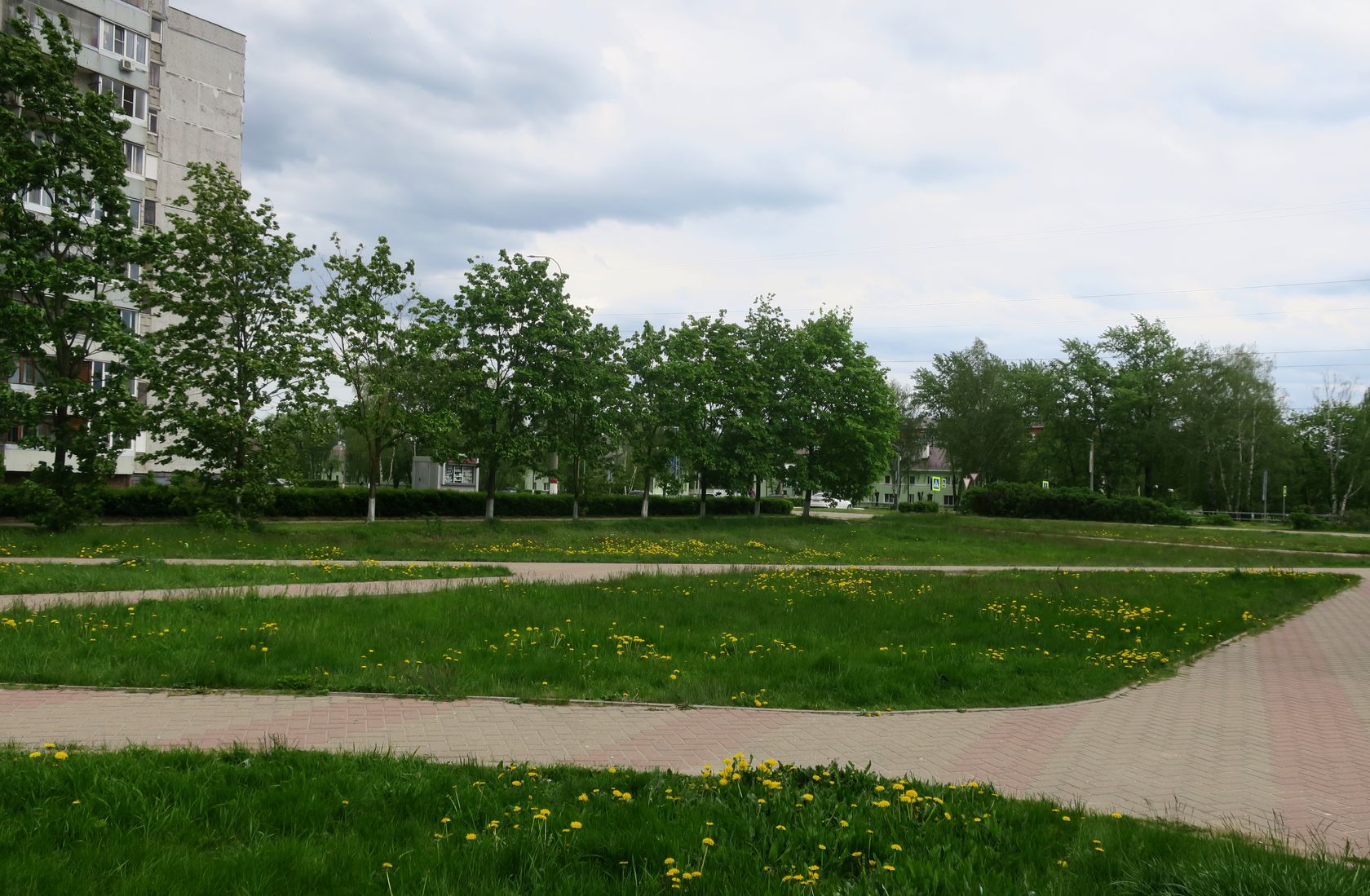 Электрогорск и его окрестности, image of landscape/habitat.