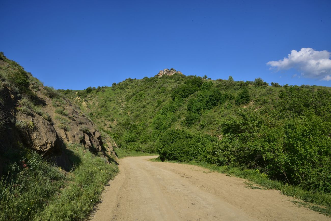 Окрестности села Гуркели, image of landscape/habitat.