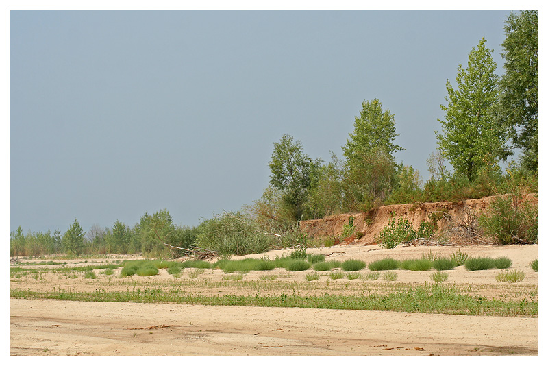Саралы, image of landscape/habitat.