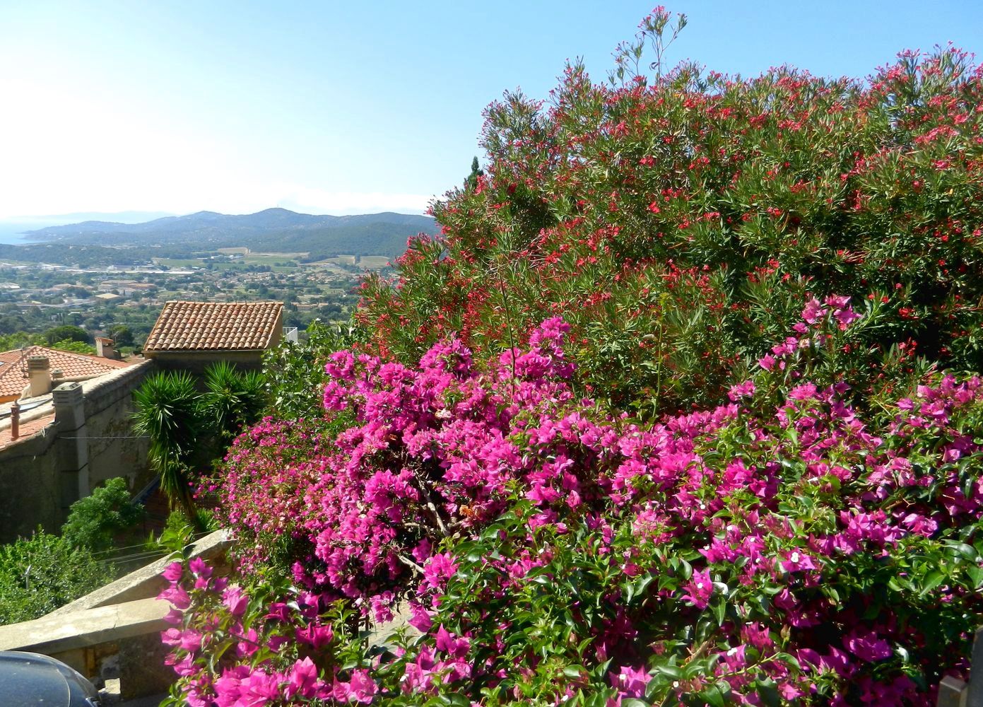 Борм-ле-Мимоза, image of landscape/habitat.