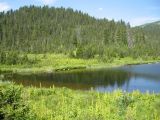 Image of landscape
