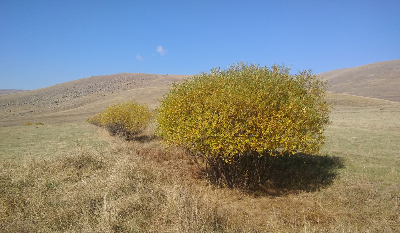 Окрестности урочища Cело Агара, изображение ландшафта.