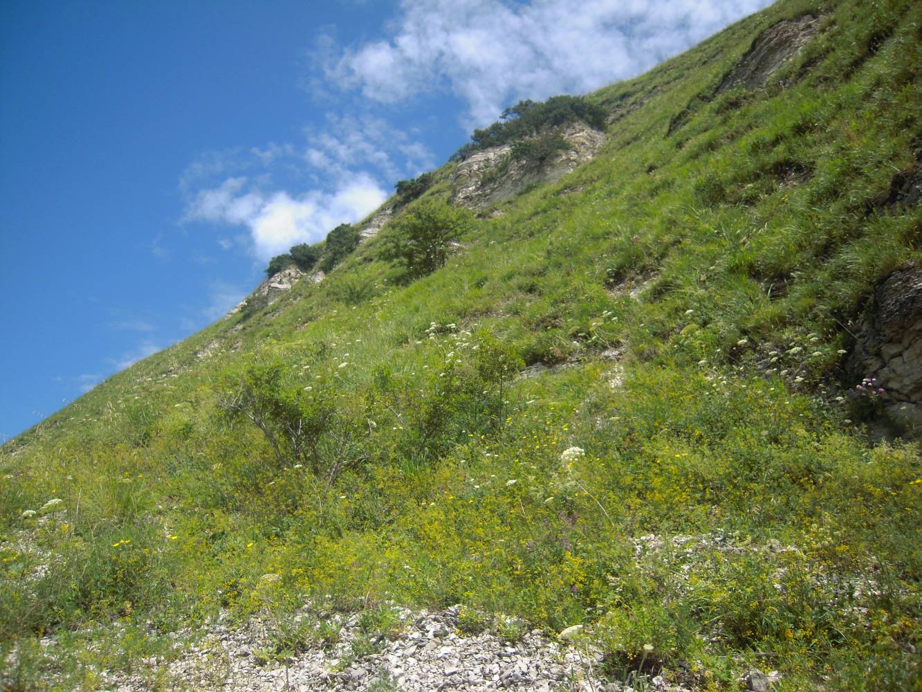 Отроги Джинальского хребта, image of landscape/habitat.