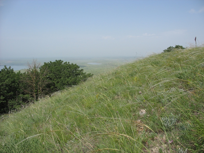 Беспутская поляна, image of landscape/habitat.