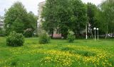 Image of landscape
