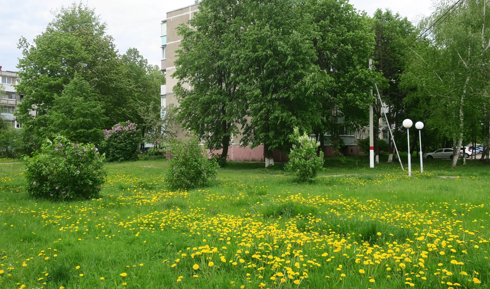Электрогорск и его окрестности, image of landscape/habitat.