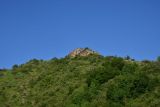 Окрестности села Гуркели, image of landscape/habitat.