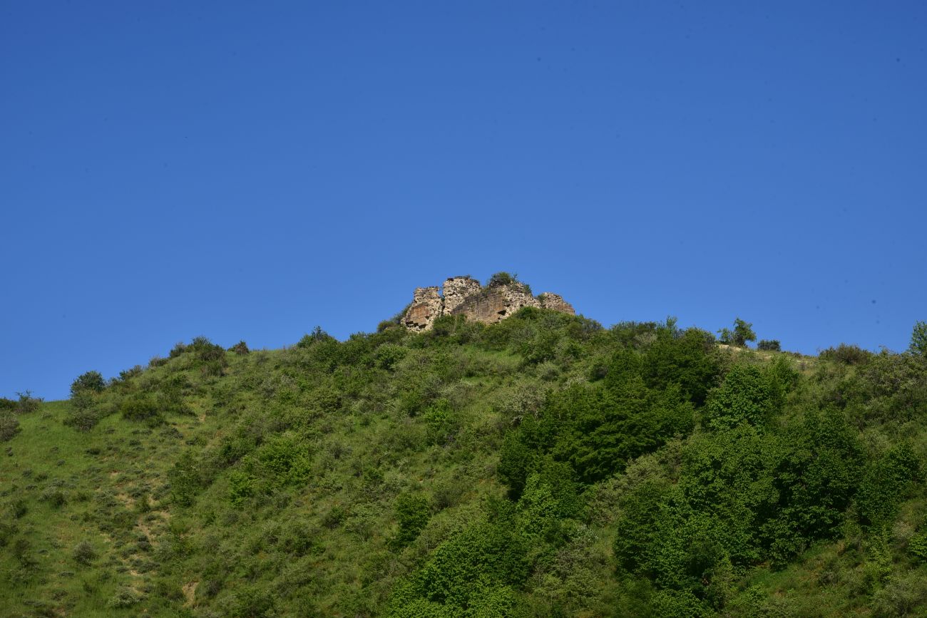 Окрестности села Гуркели, image of landscape/habitat.
