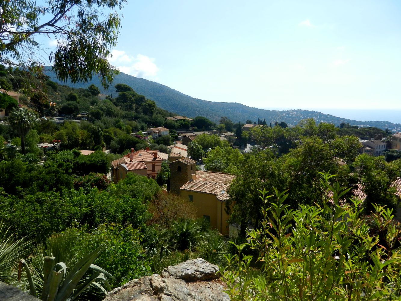 Борм-ле-Мимоза, image of landscape/habitat.