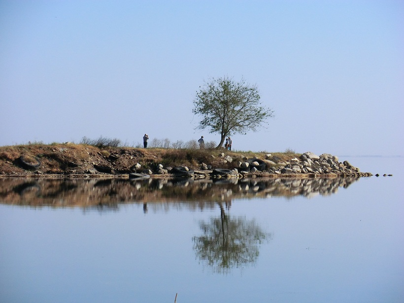 Озеро Айдаркуль, image of landscape/habitat.