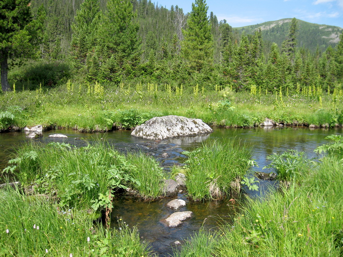 Ойское озеро, image of landscape/habitat.