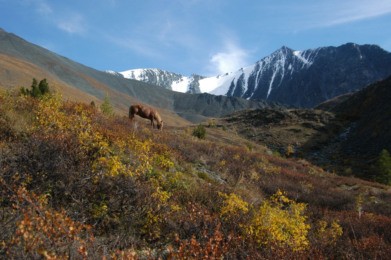 Кедровые стоянки, image of landscape/habitat.