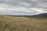 Image of landscape