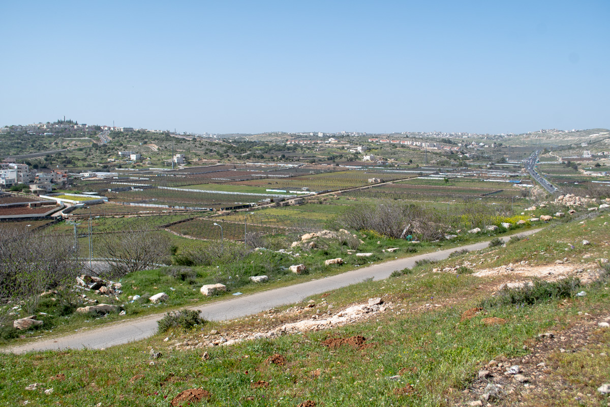 Иудейские горы, image of landscape/habitat.