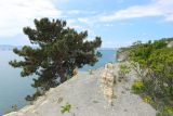Image of landscape