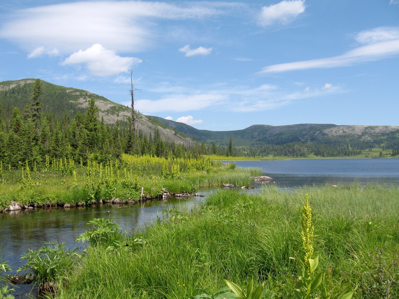 Ойское озеро, image of landscape/habitat.