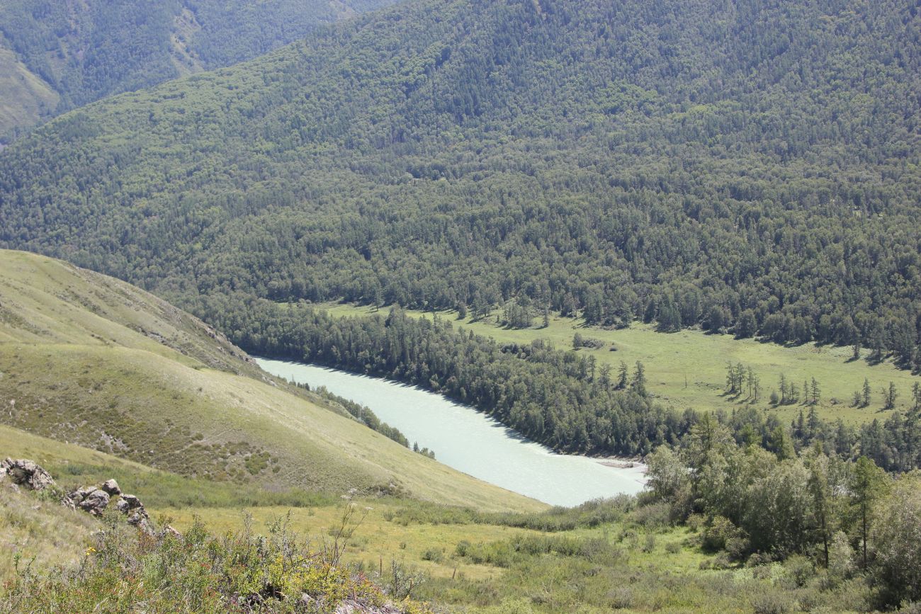 Окрестности ручья Барбыш, изображение ландшафта.