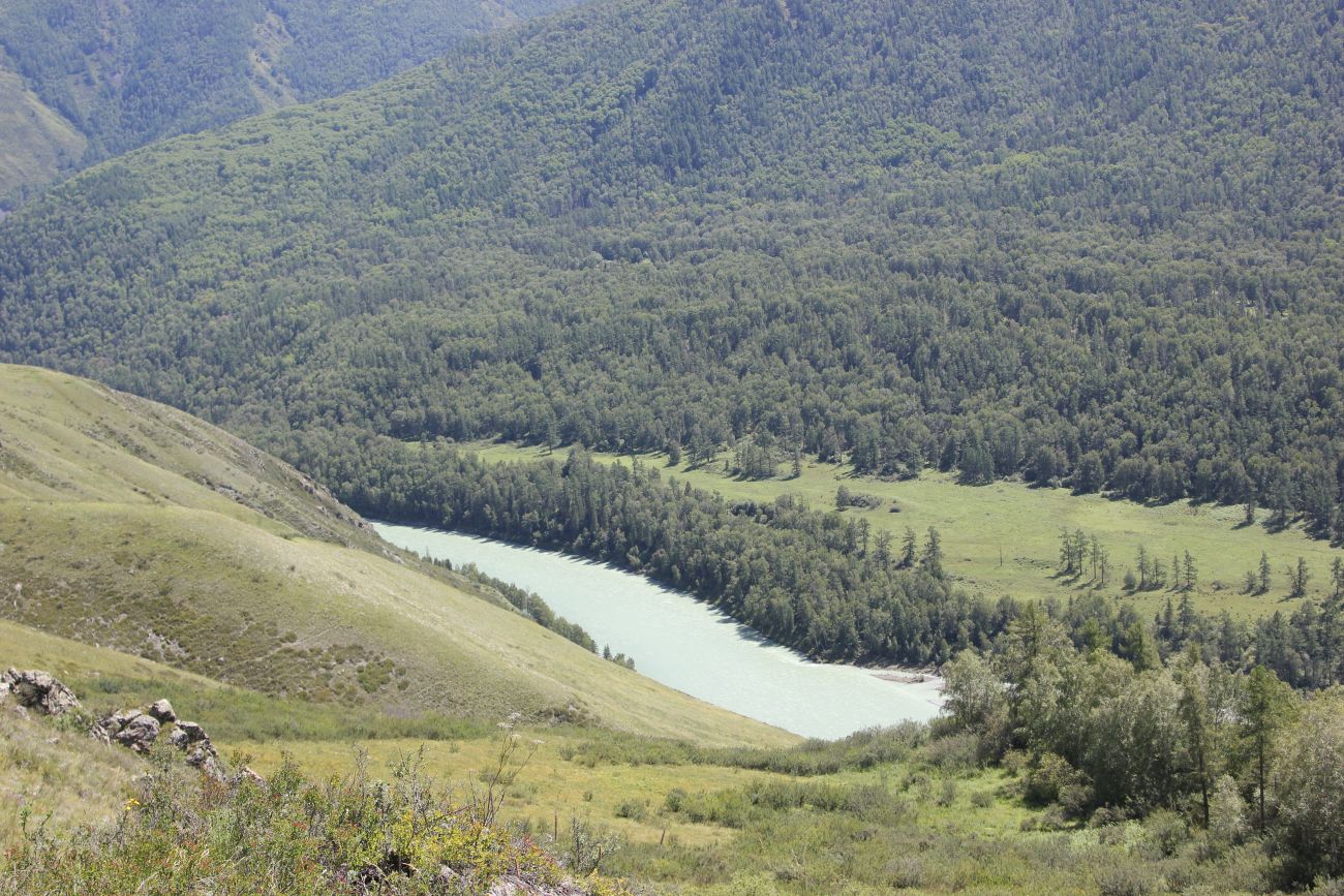 Окрестности ручья Барбыш, image of landscape/habitat.
