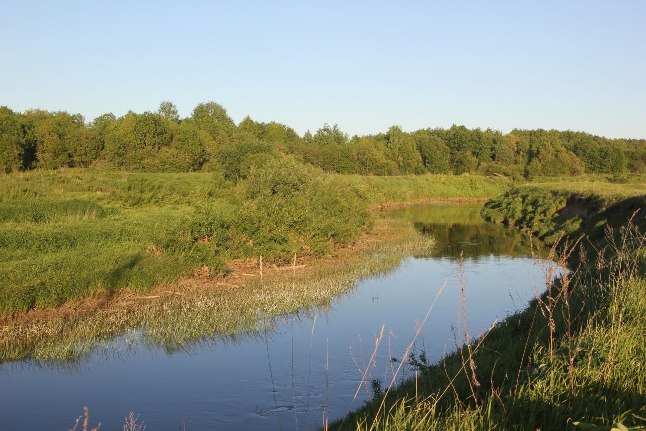 Окрестности Солигалича, image of landscape/habitat.