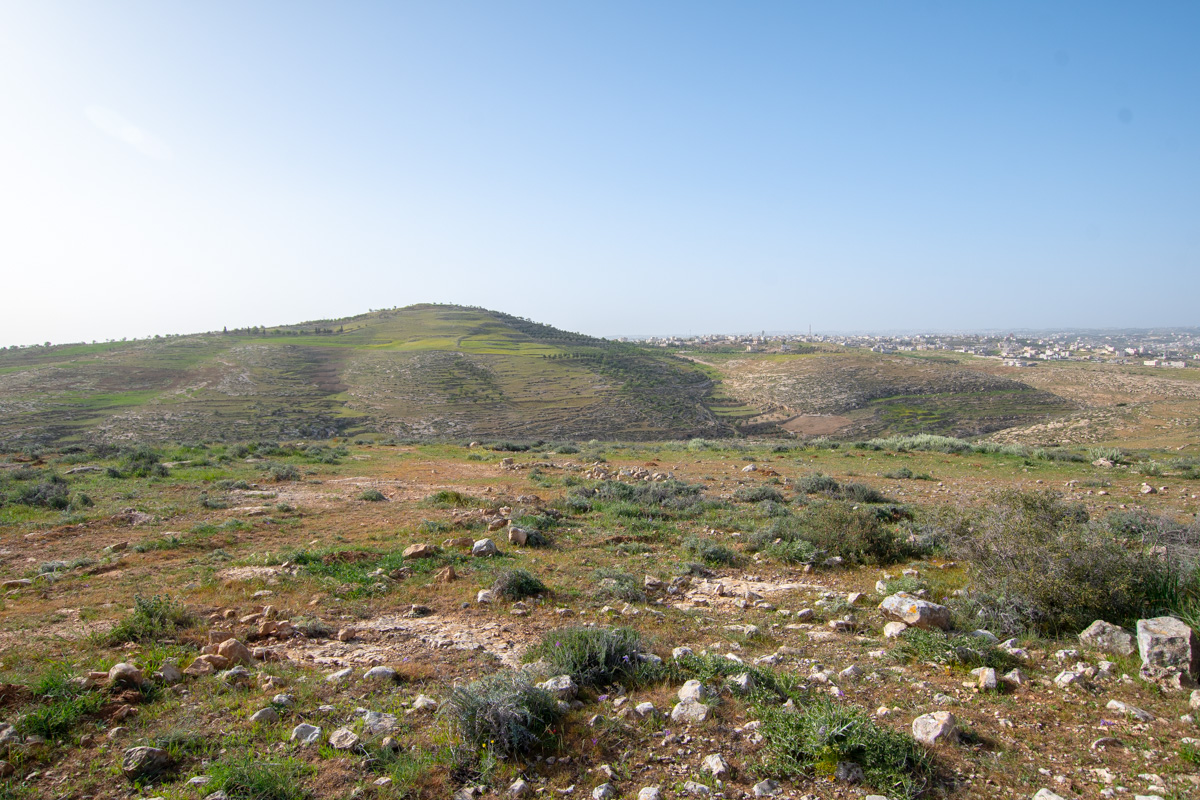 Иудейские горы, image of landscape/habitat.