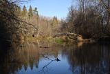 Окрестности деревни Семичёво, image of landscape/habitat.