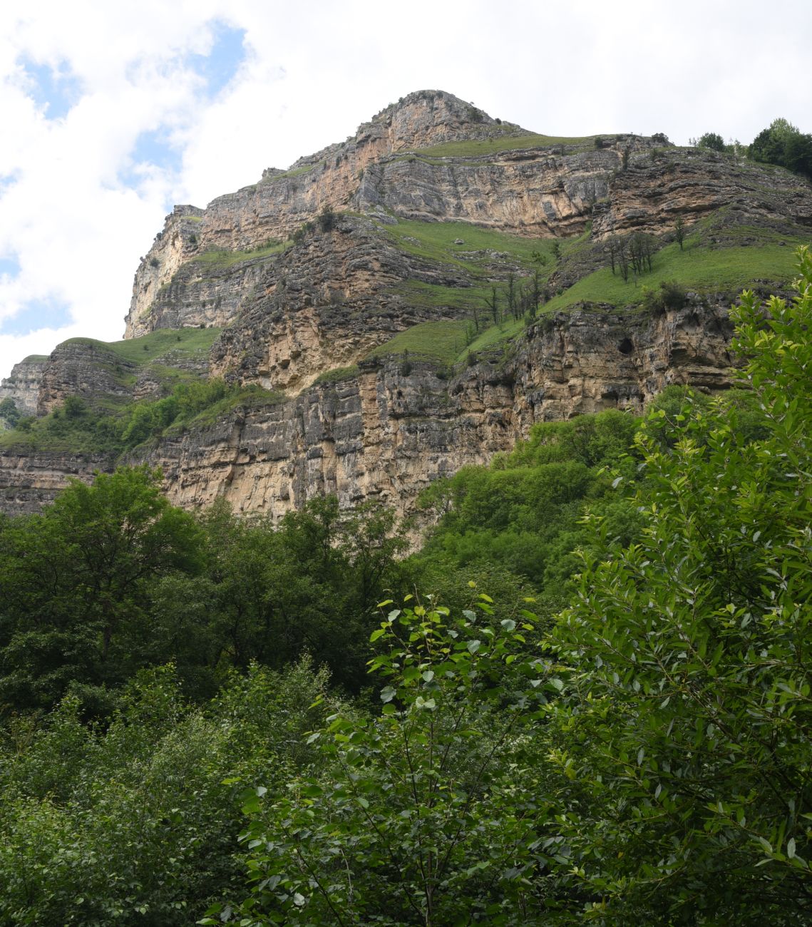 Тызыльское ущелье, image of landscape/habitat.