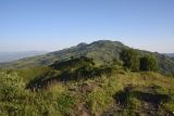 Image of landscape