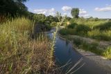 Река Неберджай, image of landscape/habitat.