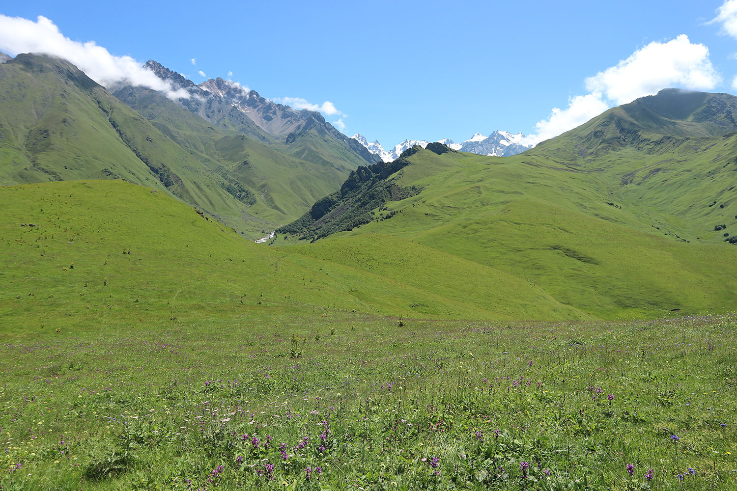 Перевал Курноят, image of landscape/habitat.