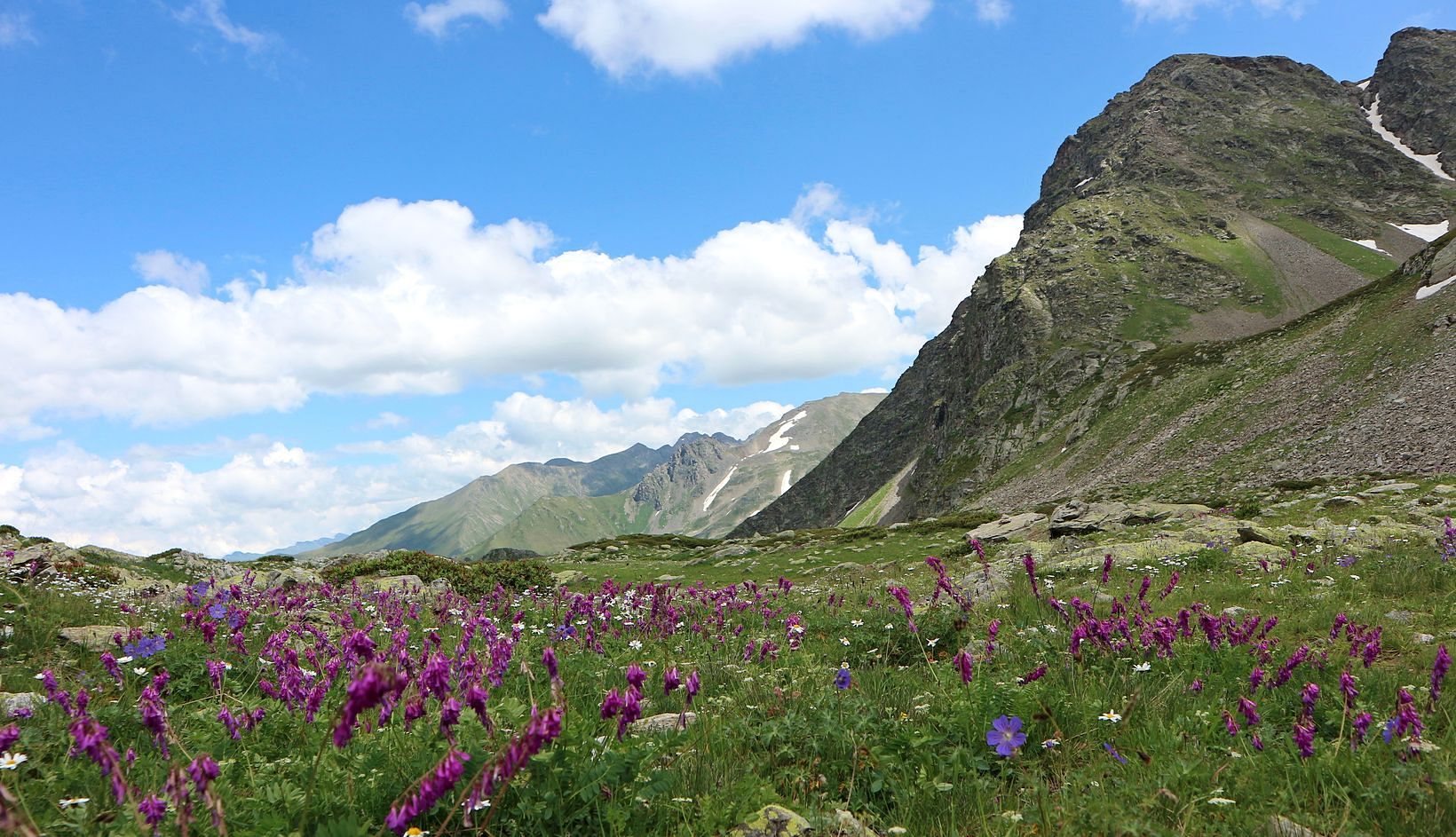 Долина реки Малая Дукка, image of landscape/habitat.