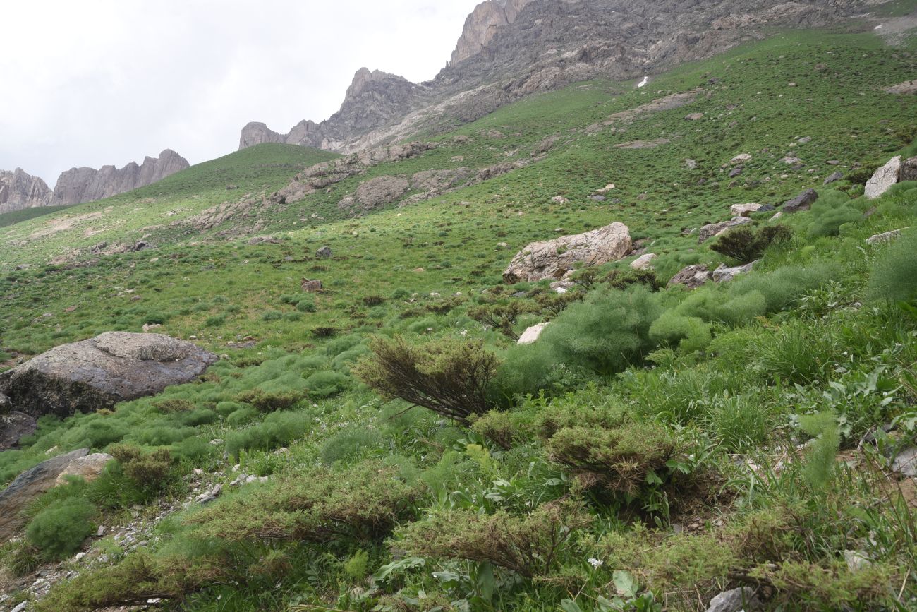 Базовый лагерь, image of landscape/habitat.