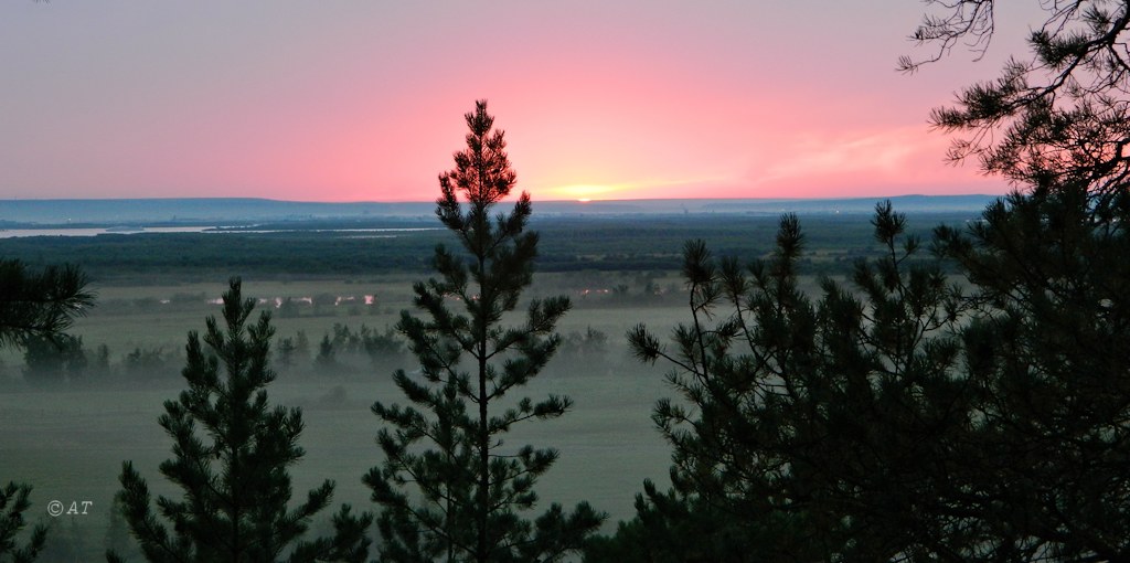 Нижний Бестях, image of landscape/habitat.