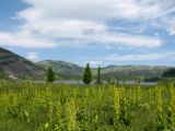 Image of landscape