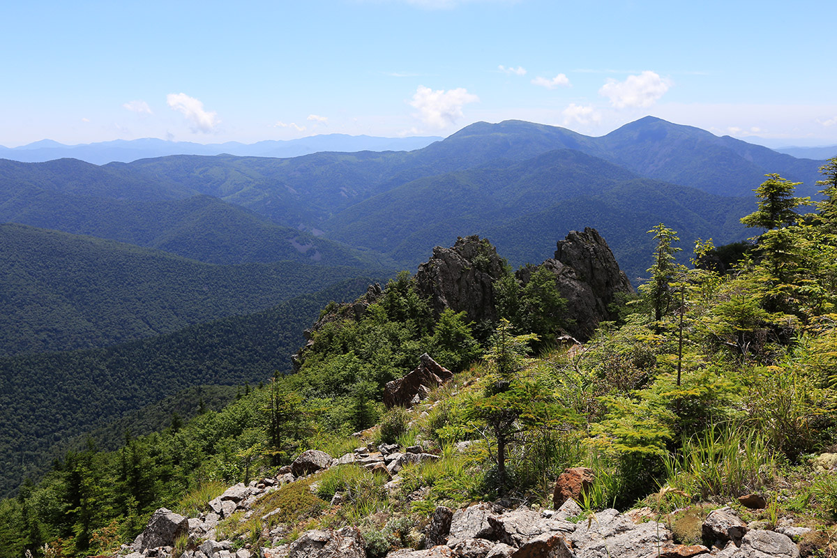 Гора Ольховая, image of landscape/habitat.