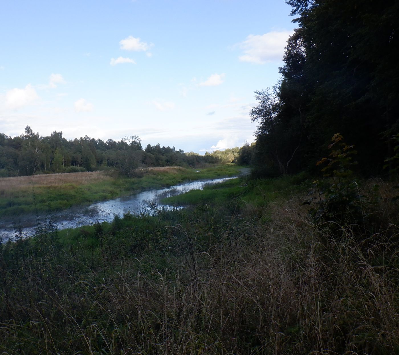 Знаменское-Раёк, image of landscape/habitat.