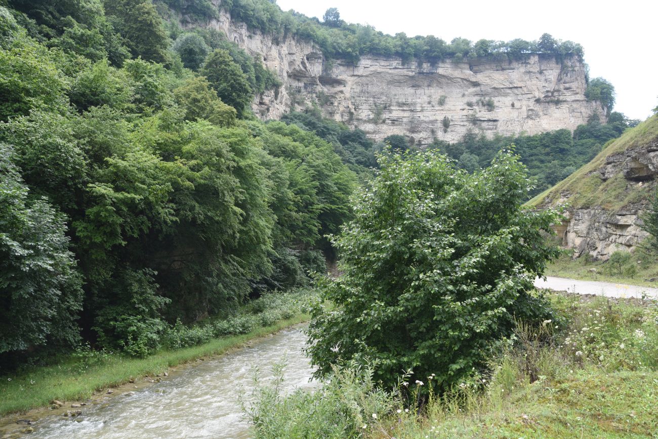 Тызыльское ущелье, изображение ландшафта.