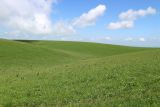 Image of landscape