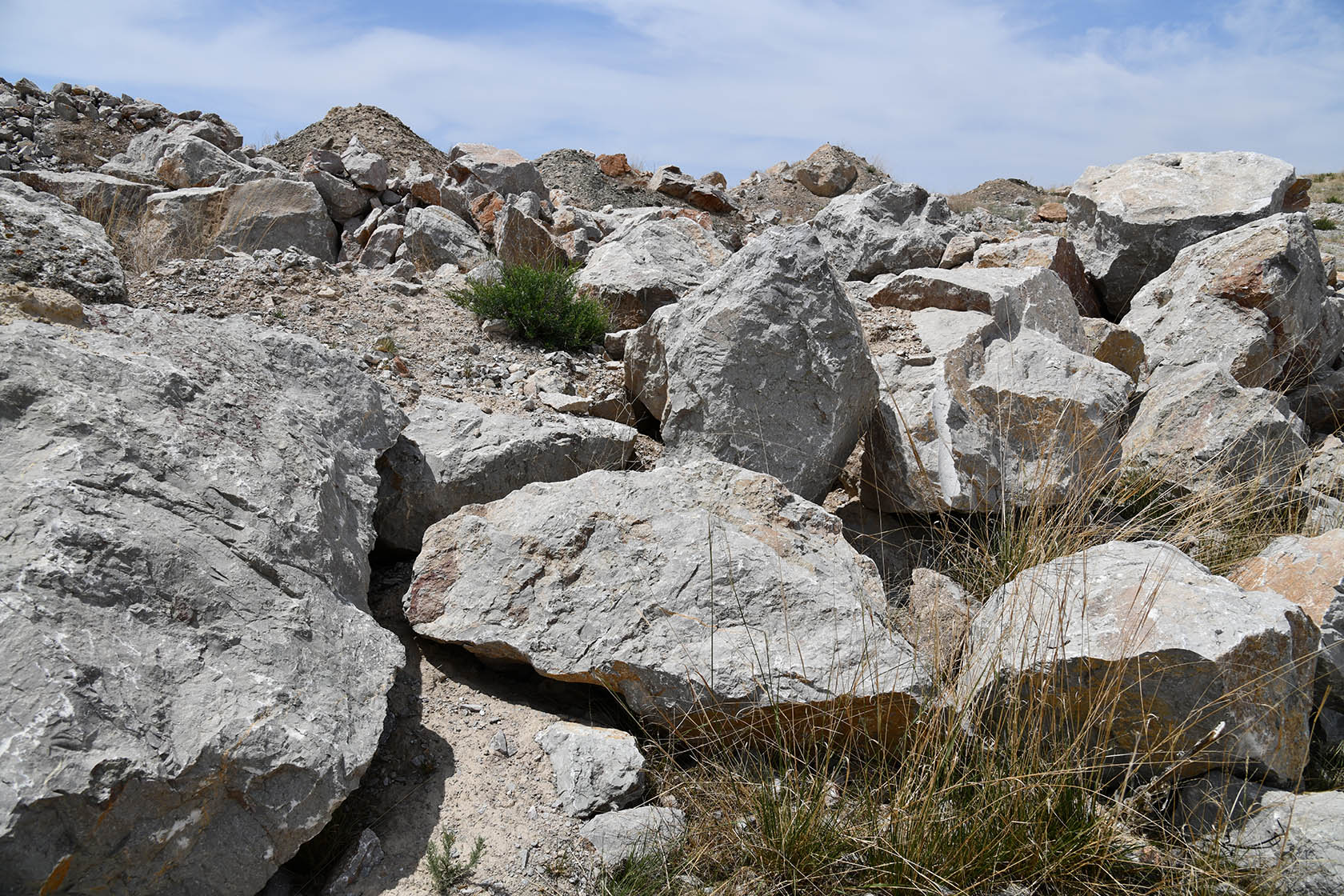 Ак-Чеку, image of landscape/habitat.