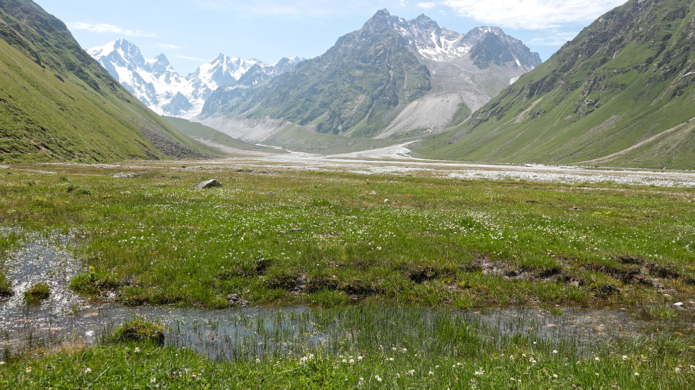 Туяла Западная, image of landscape/habitat.