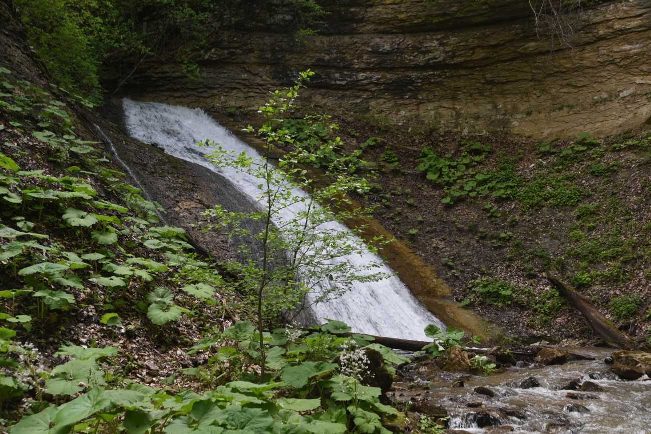 Водопад Аминовский, image of landscape/habitat.