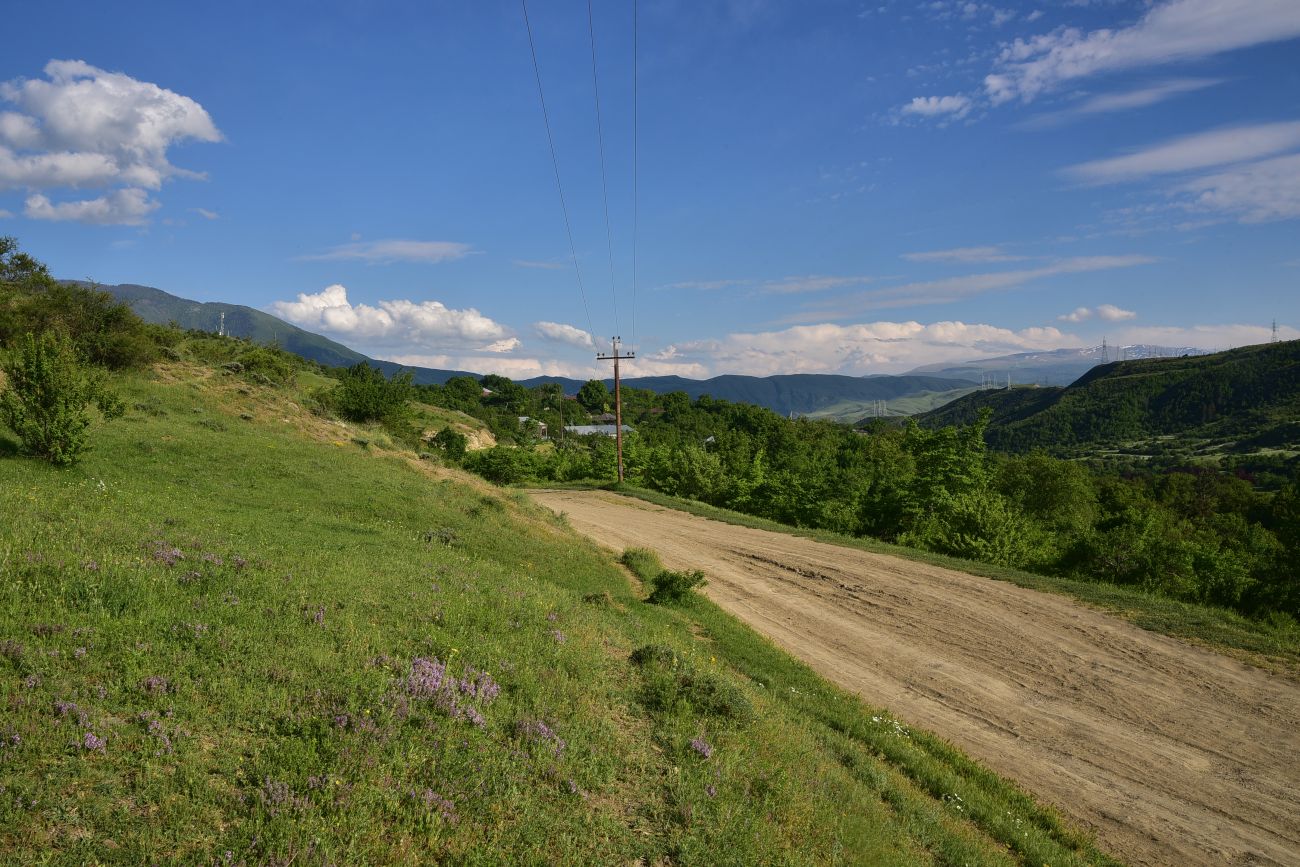 Окрестности села Гуркели, image of landscape/habitat.