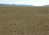 Image of landscape