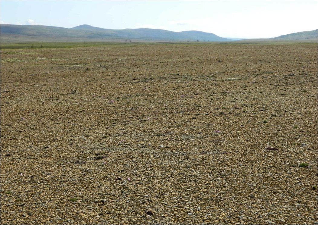 Хойла, image of landscape/habitat.