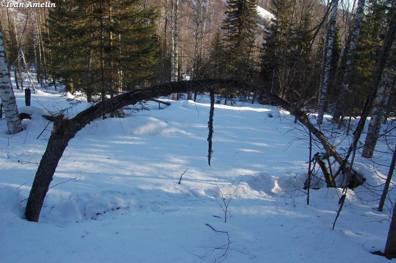 Река Солдатка, image of landscape/habitat.