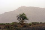 Image of landscape