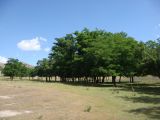 Image of landscape