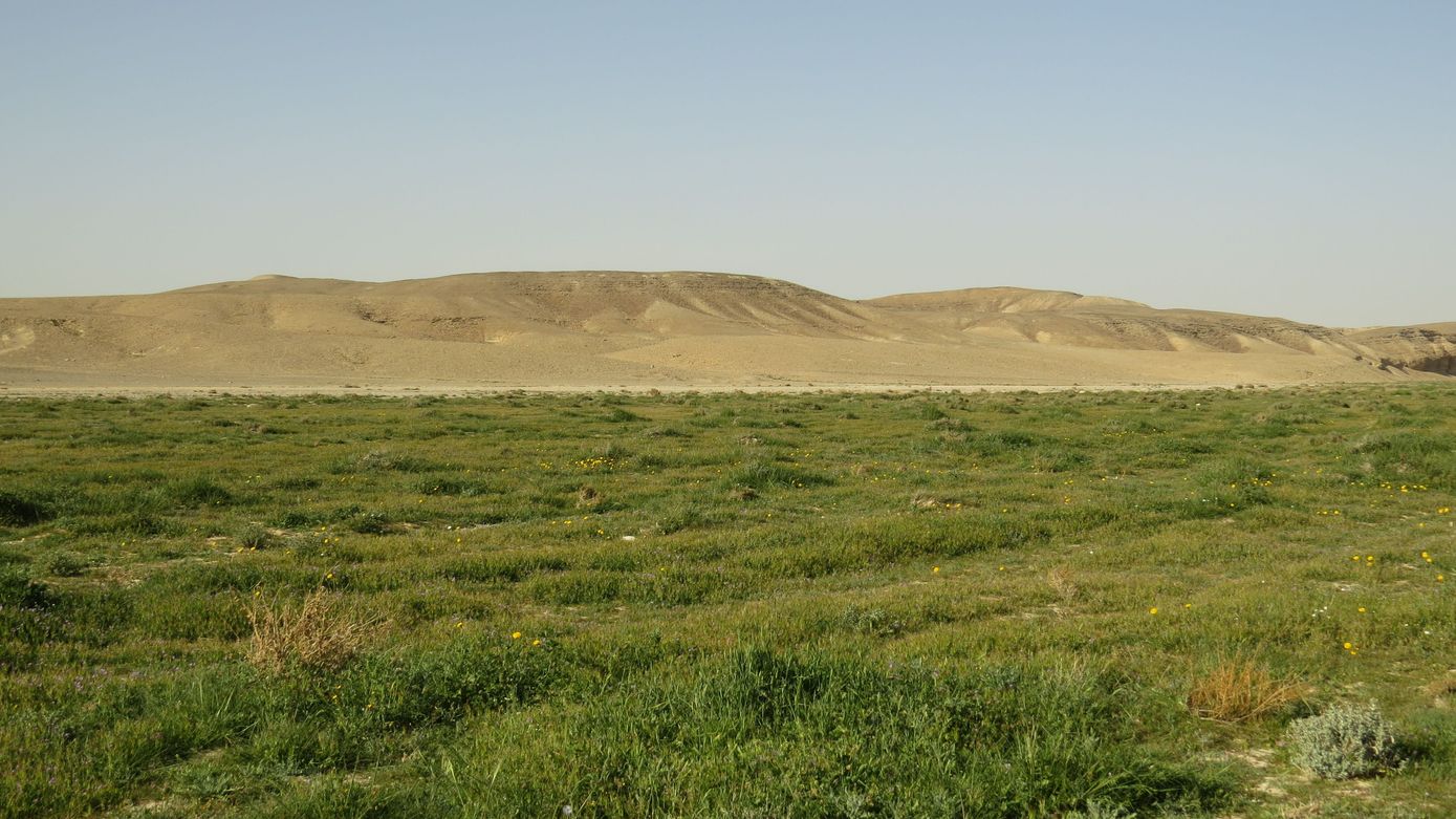 Верховья Нахаль-Хайун, image of landscape/habitat.