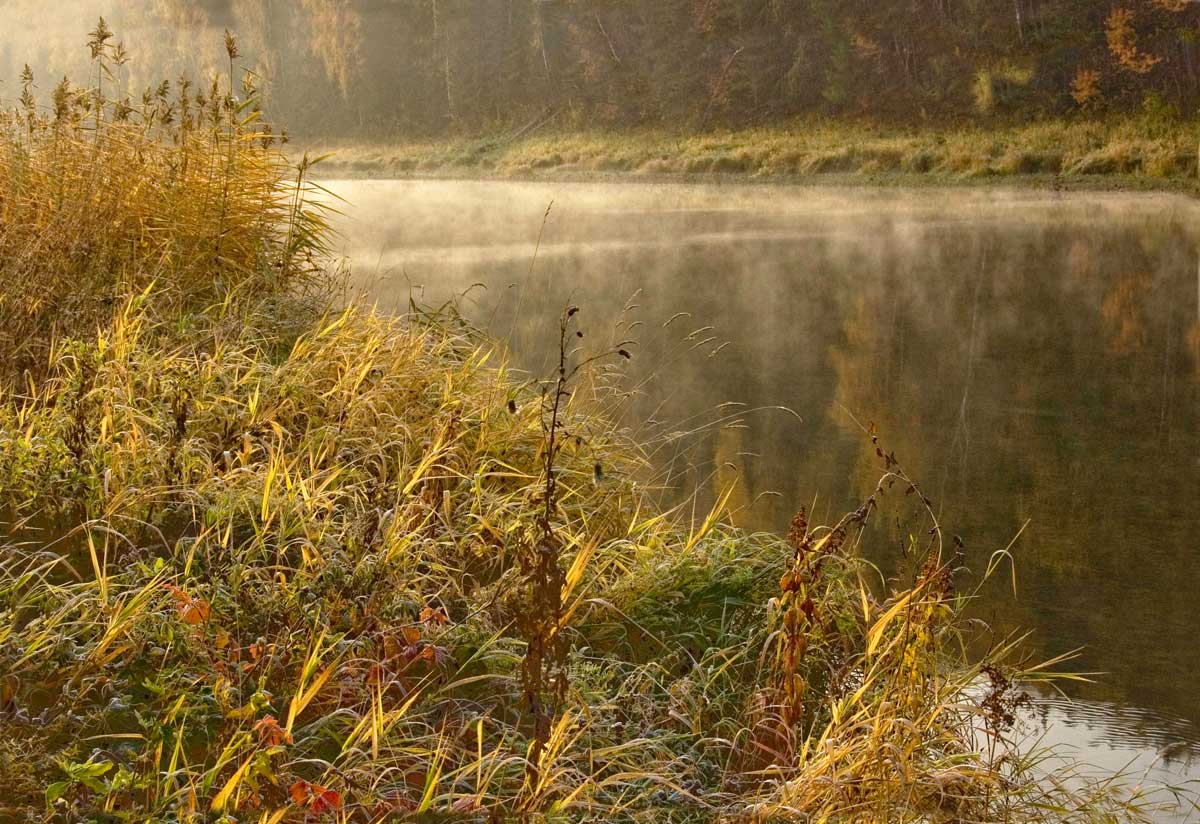 Окрестности деревни Агафонково, image of landscape/habitat.