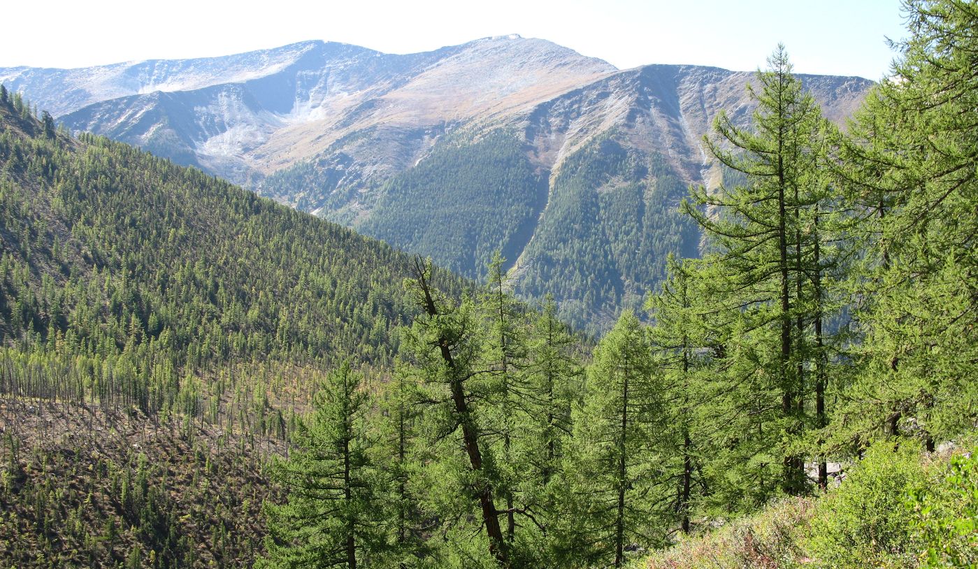 Ущелье реки Текелю, image of landscape/habitat.