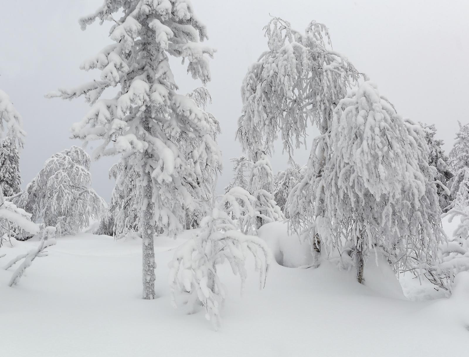 Каменный Город, image of landscape/habitat.